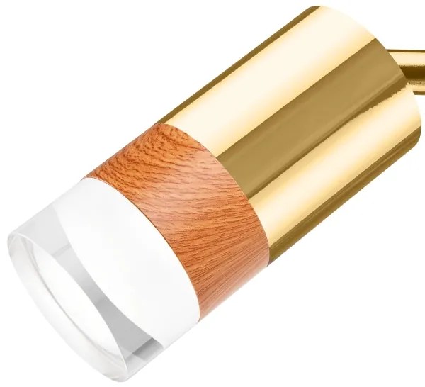 Nástenné bodové svietidlo AURORA 1xGU10/10W/230V