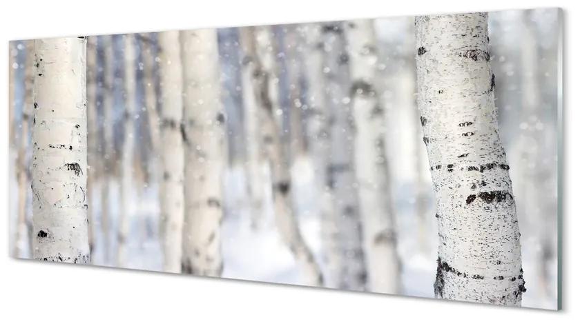 Obraz plexi Stromy v zime sneh 120x60 cm