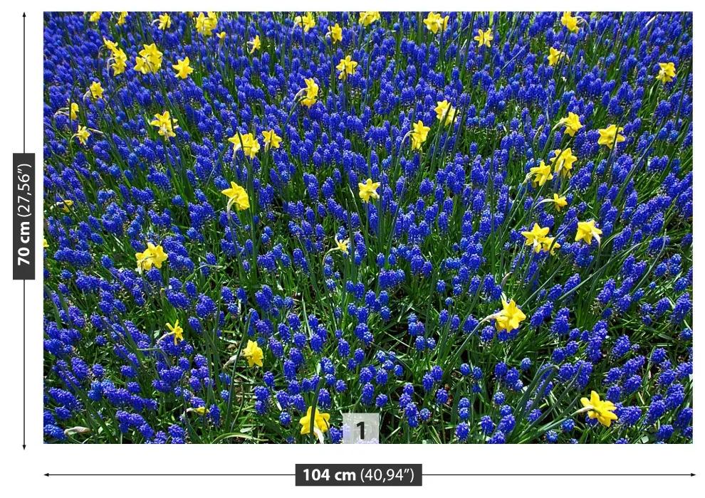 Fototapeta Vliesová Vlčí kvety 208x146 cm