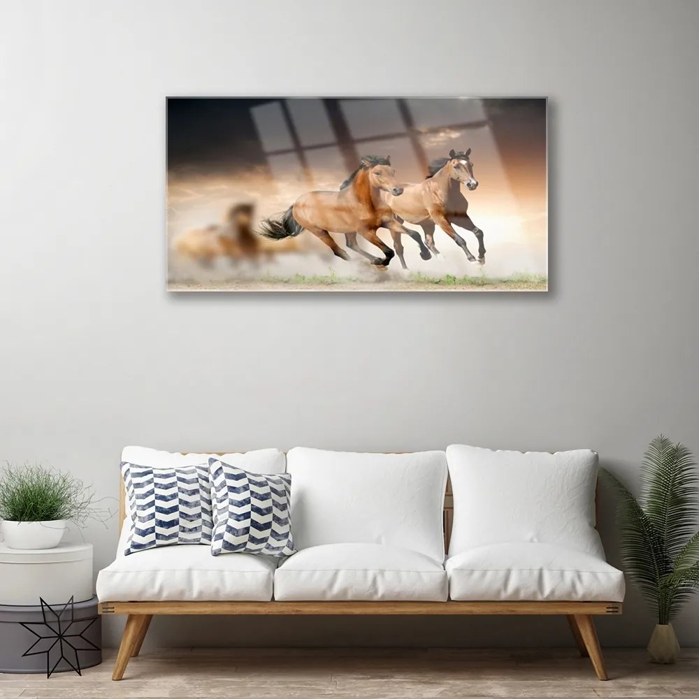 Obraz na skle Kone zvieratá 140x70 cm