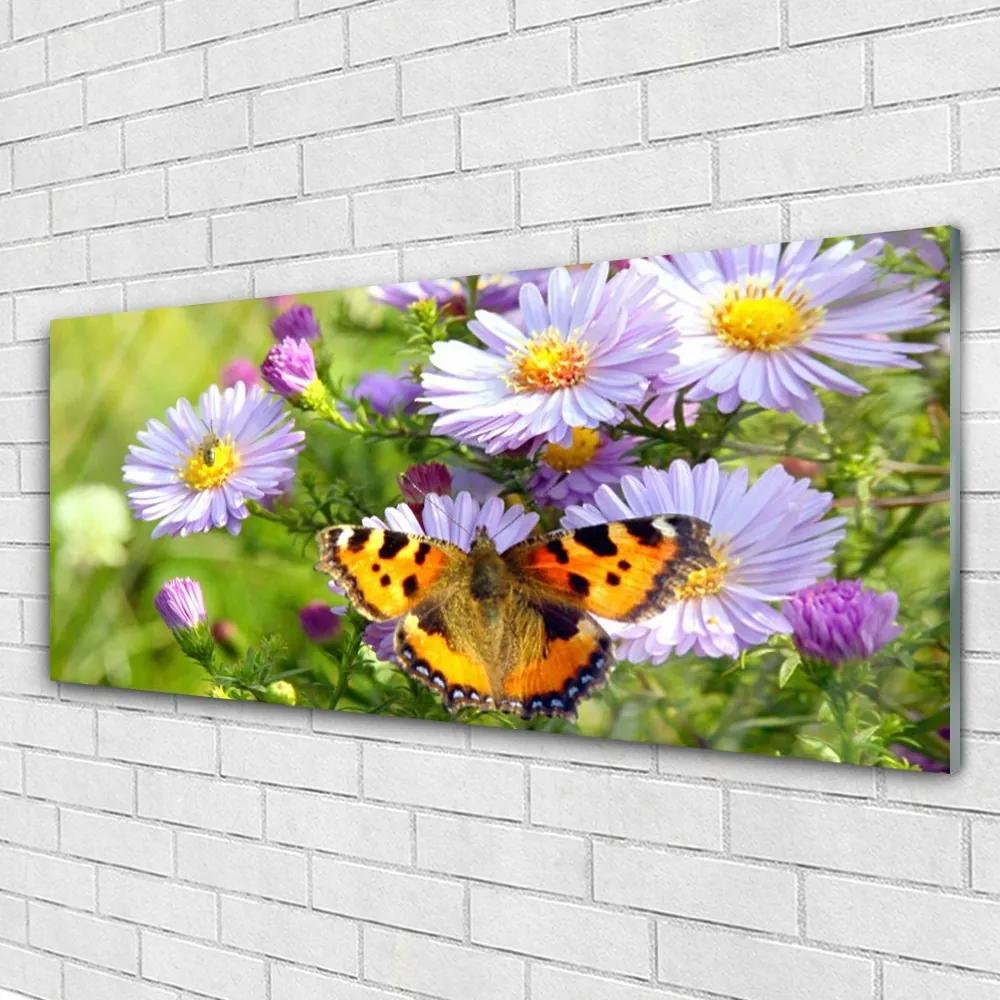 Obraz na akrylátovom skle Kvety motýľ príroda 125x50 cm