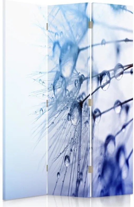 CARO Paraván - Water Drops On A Dandelion | trojdielny | obojstranný 110x150 cm
