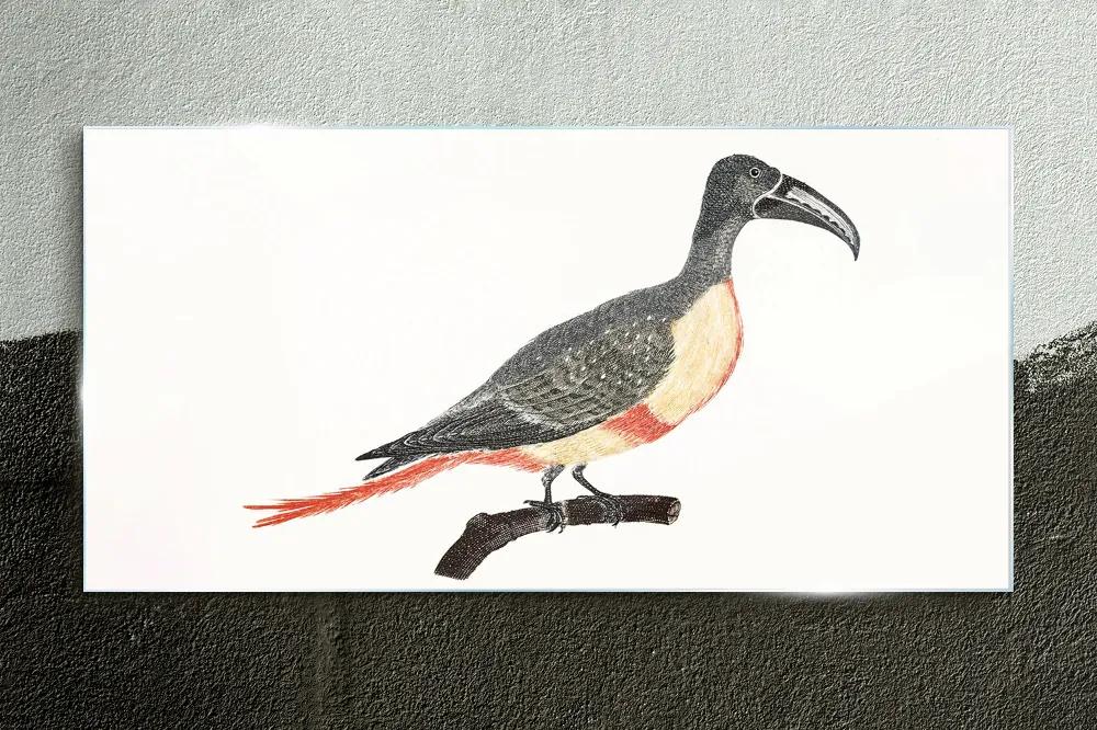 Obraz na skle Kreslenie vetva zvierat vták