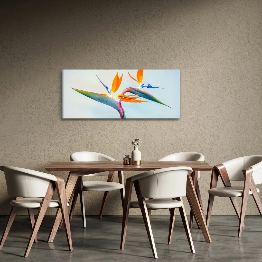 Obraz kvetu Strelícia (120x50 cm)
