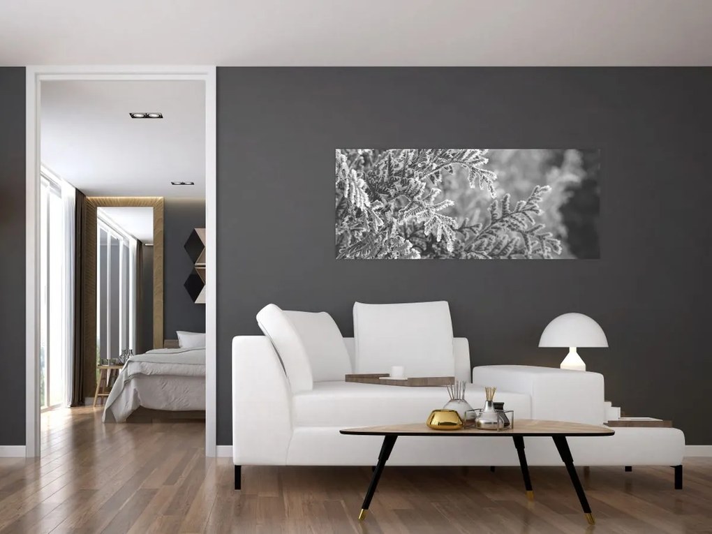 Obraz - Smrekový les (120x50 cm)