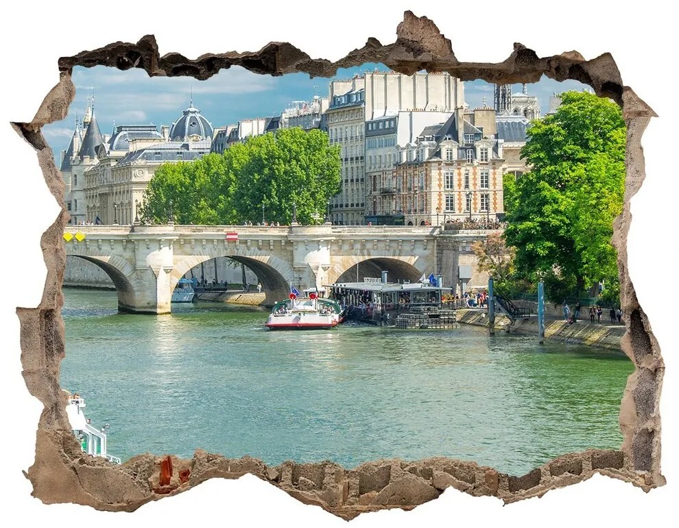 Fototapeta díra na zeď 3D Seine v paríži nd-k-73852810