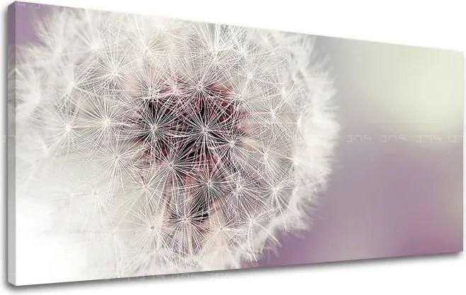 Obraz na stenu PANORÁMA KVETY KV065E13 - 50x100 cm