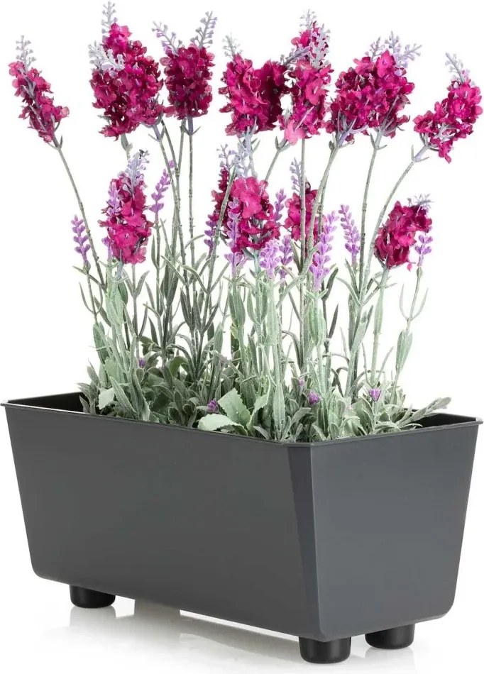 Truhlík s nožičkami Salvia 28,5x17 cm - výber z 9 prevedení