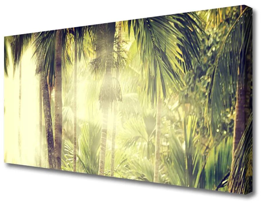 Obraz Canvas Les palmy stromy príroda 125x50 cm