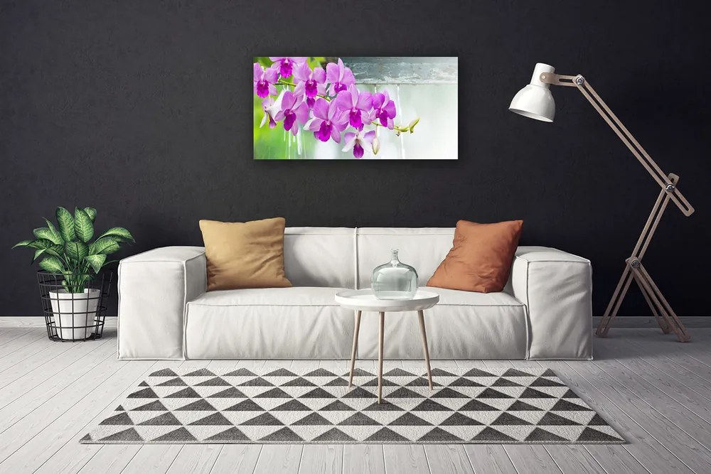 Obraz Canvas Orchidey kvapky príroda 100x50 cm