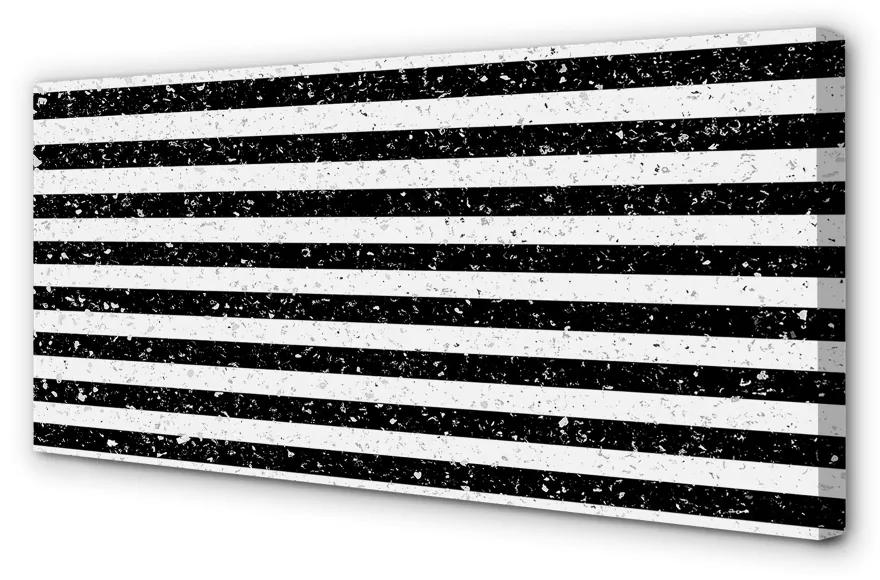 Obraz na plátne Škvrny zebra pruhy 100x50 cm