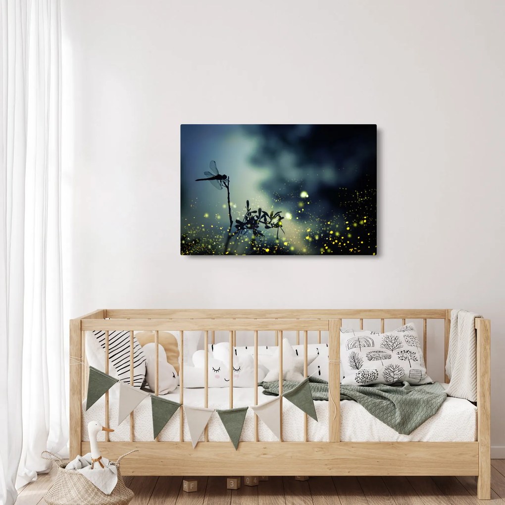 Obraz - Vážka za trblietavej noci (90x60 cm)