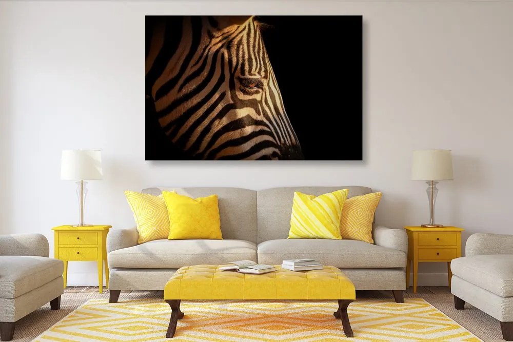 Obraz portrét zebry Varianta: 120x80