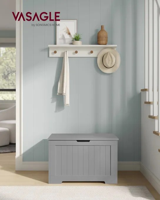 Úložný box LHS011G01