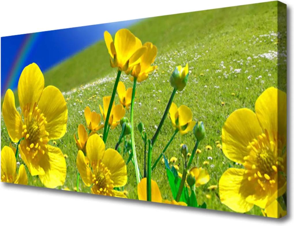 Obraz na plátně Lúka Kvety Dúha Príroda