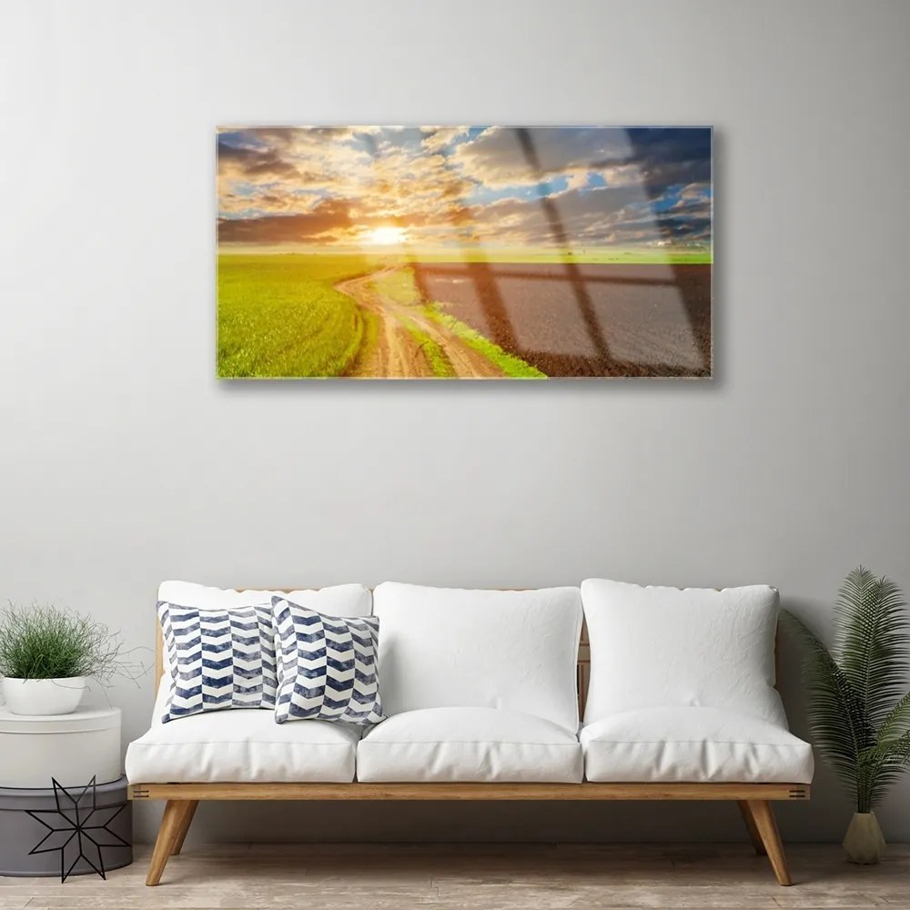 Obraz plexi Pole nebo slnko príroda 100x50 cm