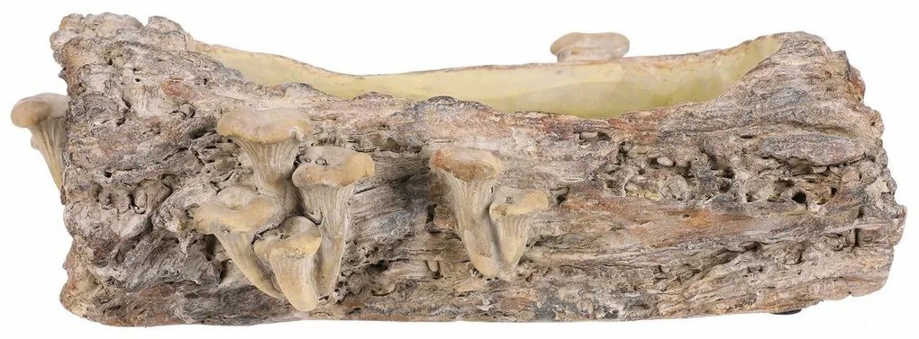 Betonový obal - truhlík, drevo s hubami, 36 x 18 x13 cm, hnedá