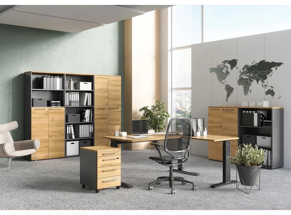 Antracitovosivá prírodná skrinka v dekore duba 80x120 cm Agenda - Germania