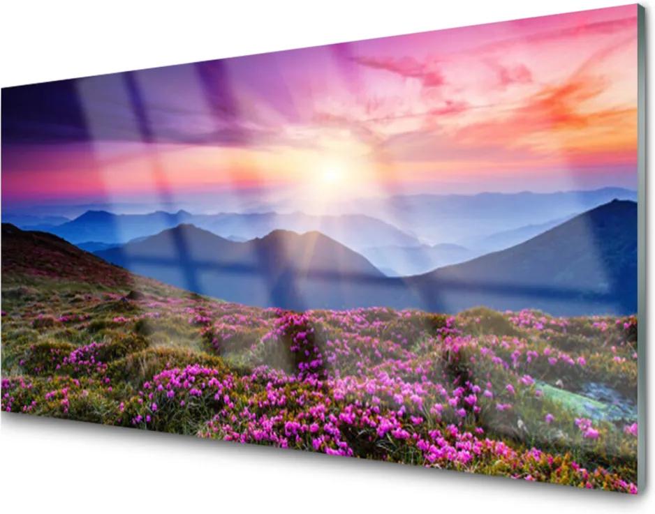 Plexisklo obraz Hora louka slunce krajina