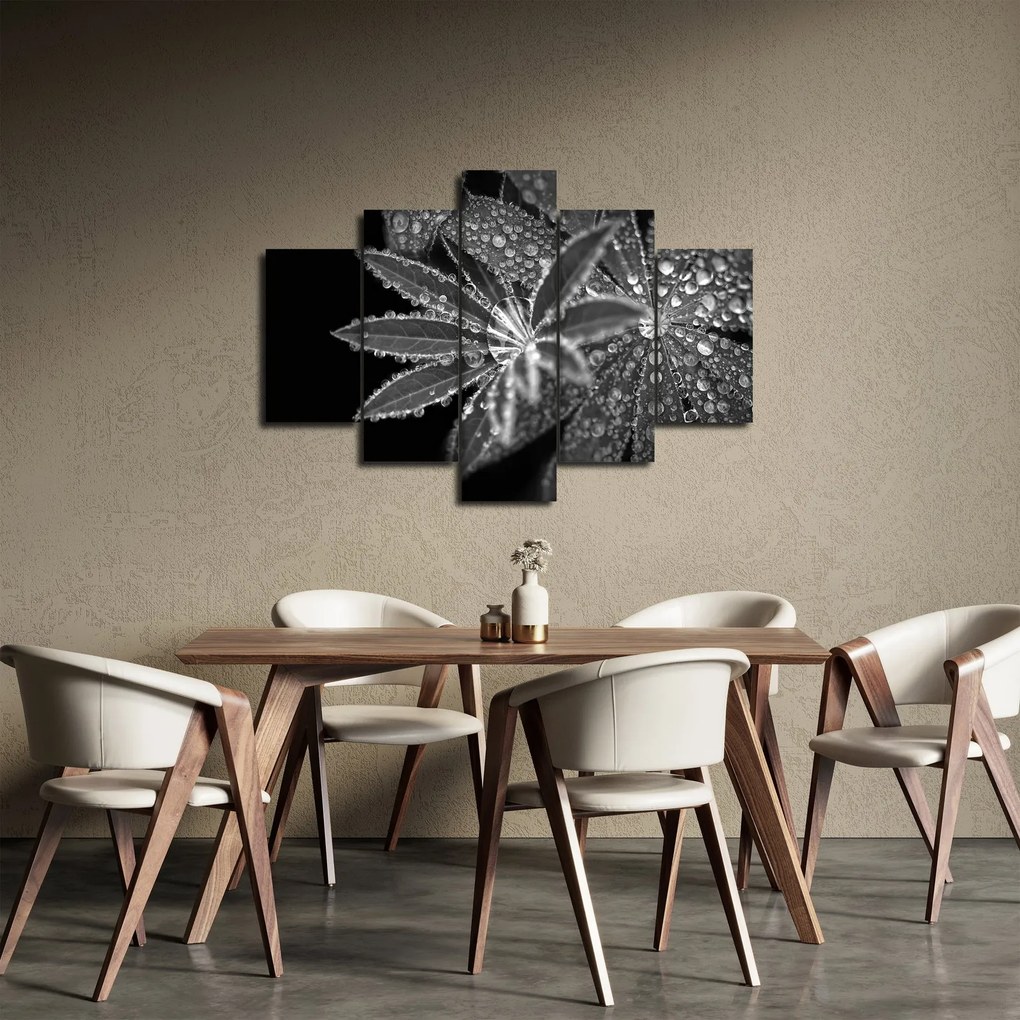 Obraz - Listy s kvapkami (150x105 cm)