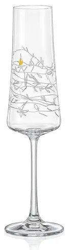 Crystalex GARDEN poháre na sekt 210 ml, 2 ks