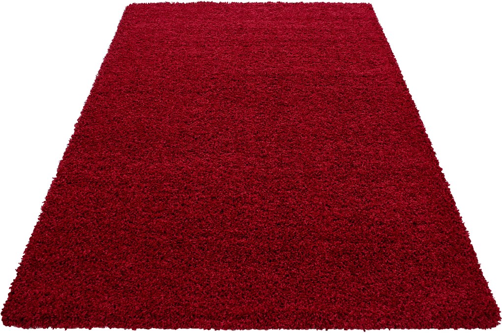 Ayyildiz koberce Kusový koberec Life Shaggy 1500 red - 80x150 cm