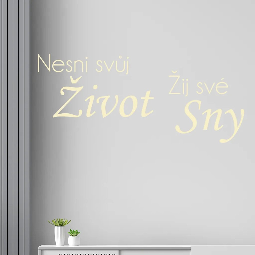 Veselá Stena Samolepka Nesnívaj svoj život, ži svoje sny Farba: oranžová, Veľkosť: 80 x 37 cm