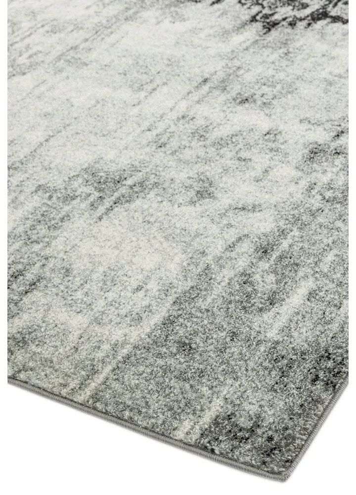 Sivý koberec 230x160 cm Nova - Asiatic Carpets