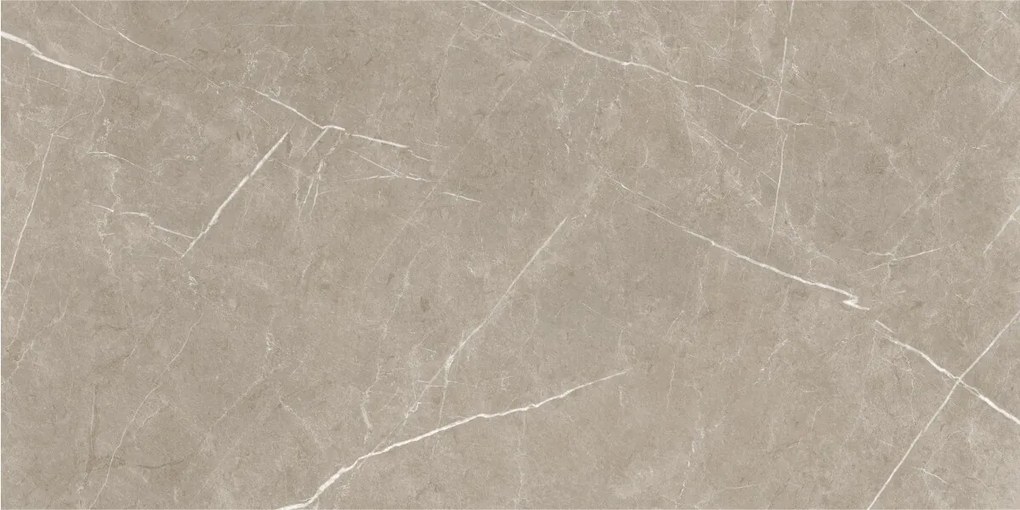 Dlažba Eternal Taupe Pulido 60x120 R