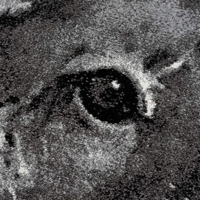 Koberec Savanna 9362 sivý