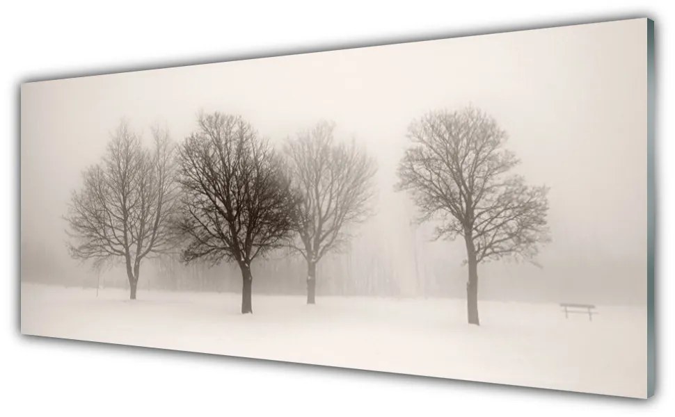 Obraz plexi Sneh stromy príroda 125x50 cm