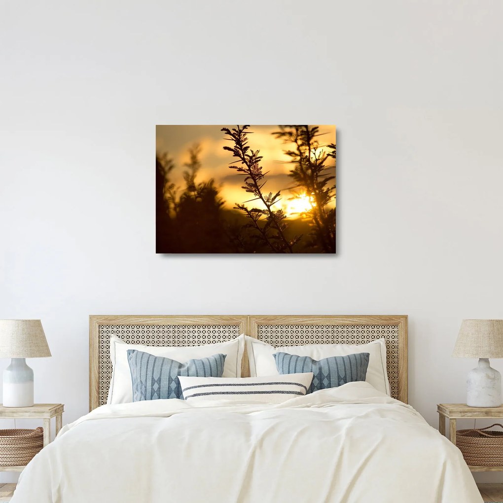 Sklenený obraz - Slnko zapadajúce za stromami (70x50 cm)