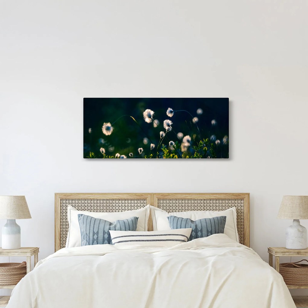 Obraz - Tráva (120x50 cm)