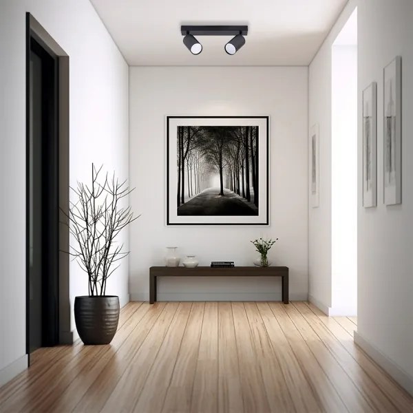 Bodové svietidlo 2xGU10/35W/230V čierna