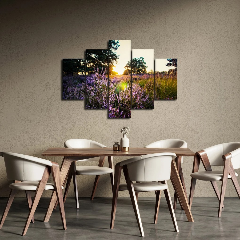 Obraz poľa levanduľou (150x105 cm)