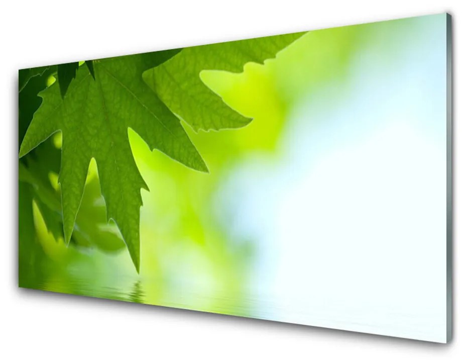 Obraz na akrylátovom skle Listy príroda rastlina 140x70 cm