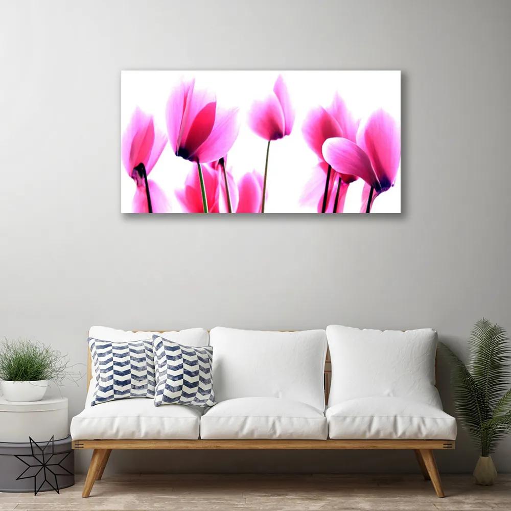 Obraz na plátne Kvetiny rastlina 100x50 cm