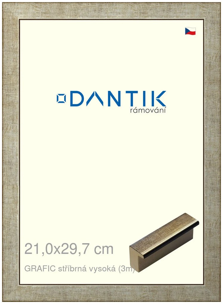 DANTIK rám na obraz 21x29,7 | GRAFIC stříbrná vysoká (Sklo Čiré)