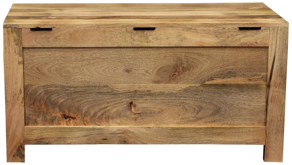 furniture-nabytek.cz - Úložná truhla z dreva mango 90x45x45
