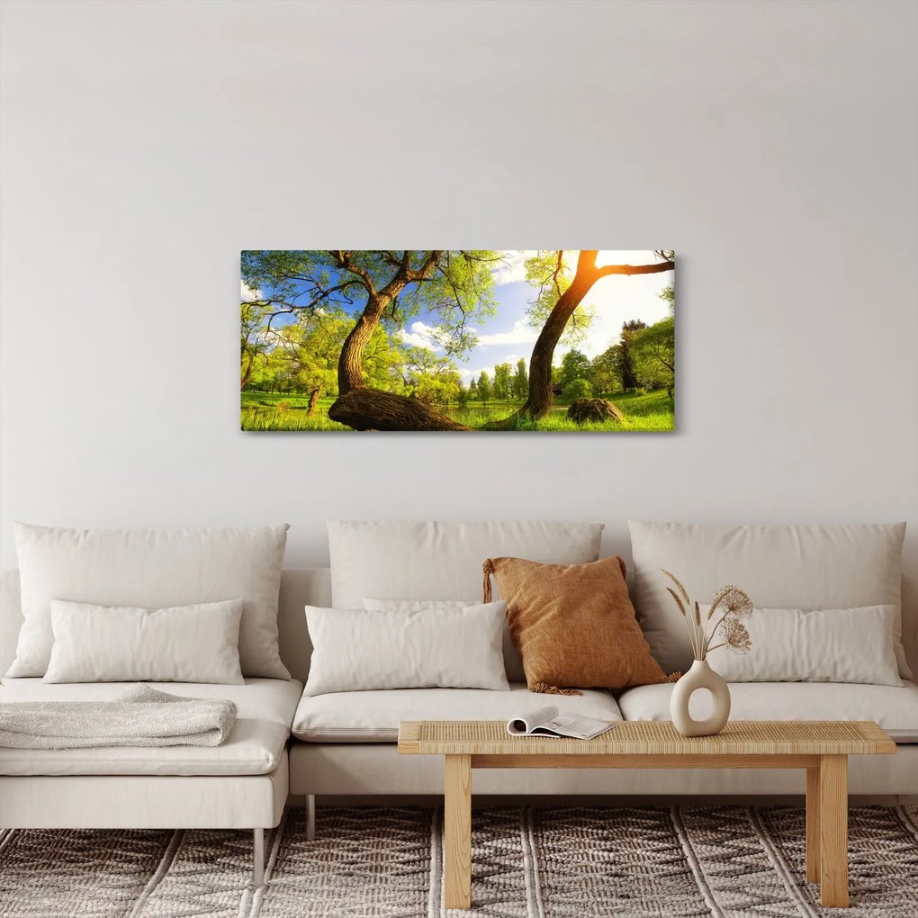 Obraz jarnej lúky (120x50 cm)