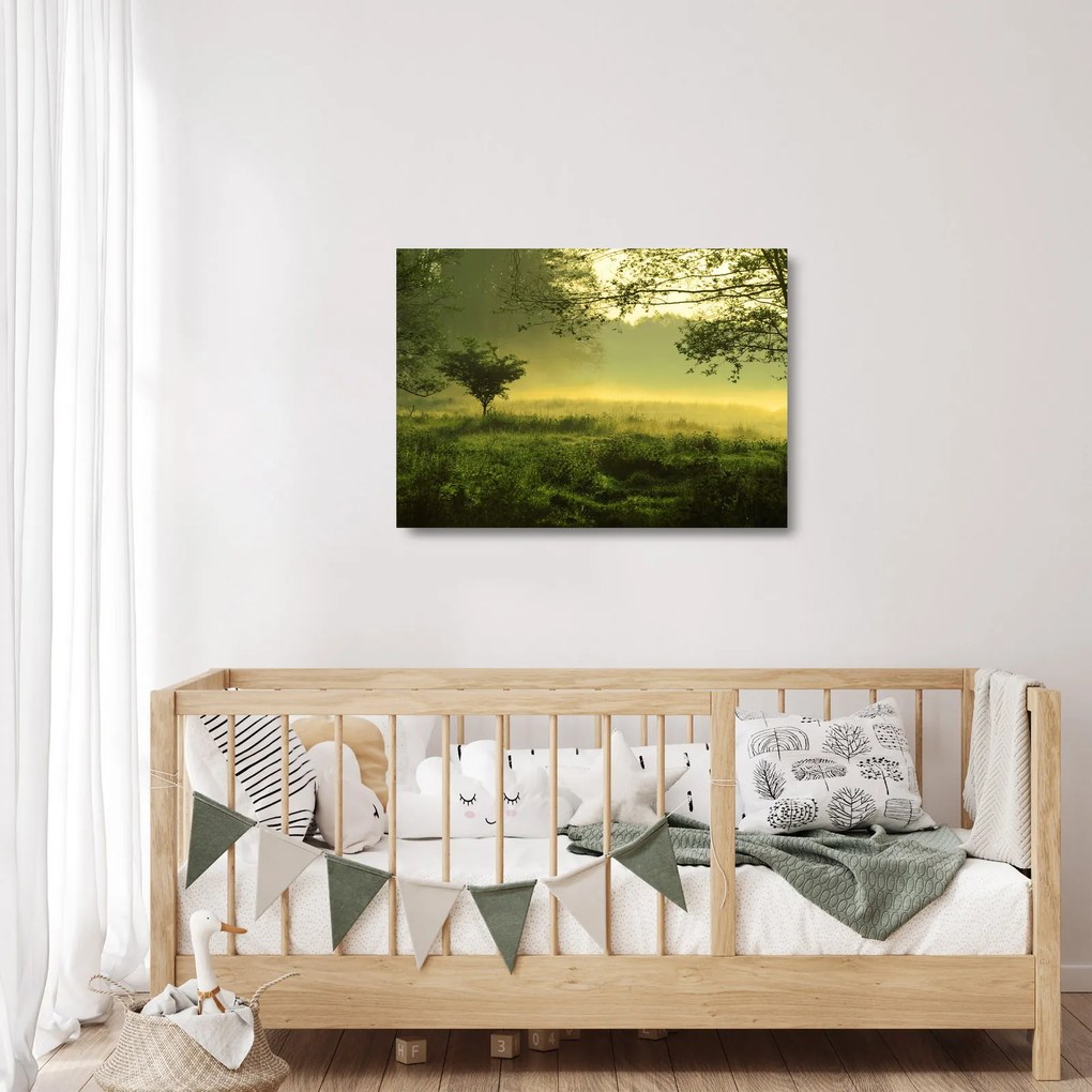 Sklenený obraz - Prebúdzajúci sa les (70x50 cm)