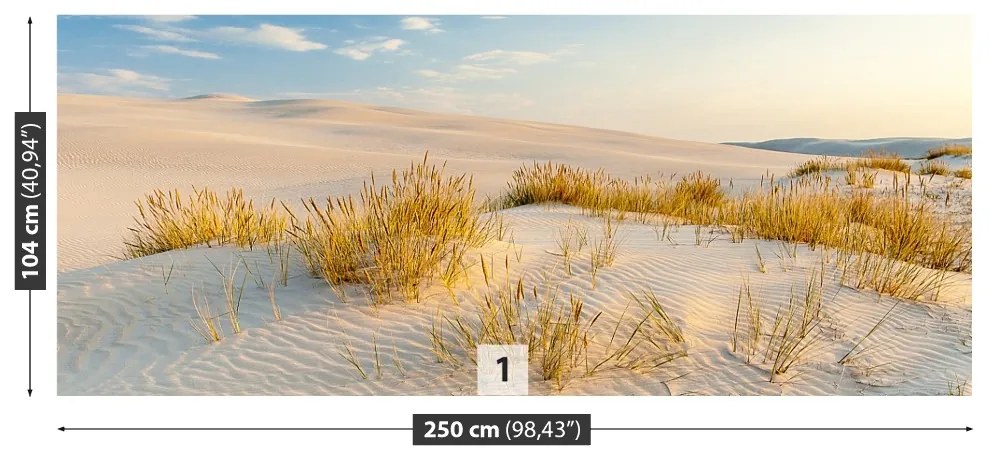 Fototapeta Vliesová Bunesk dunes 152x104 cm