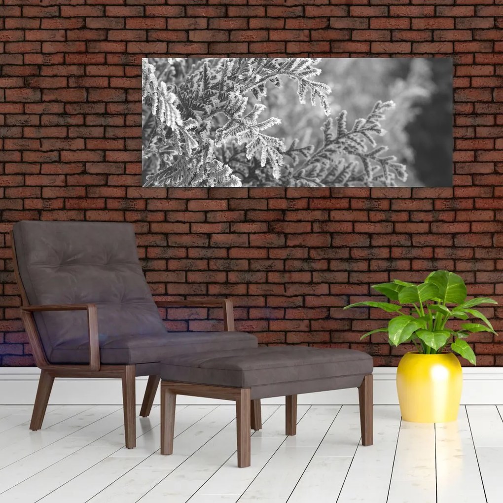 Obraz - Smrekový les (120x50 cm)