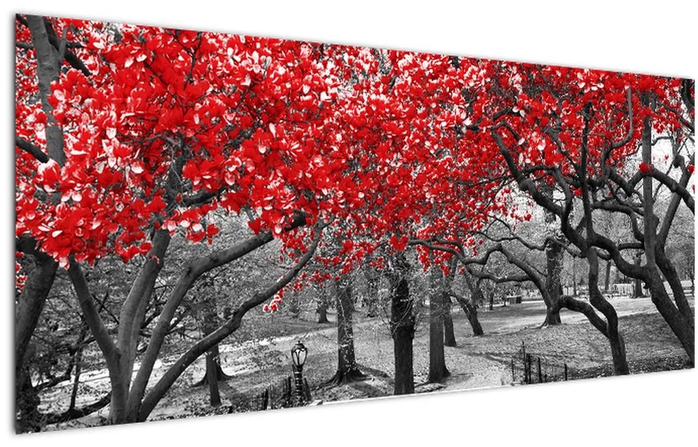 Obraz - Červené stromy, Central Park, New York (120x50 cm)