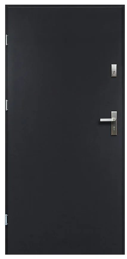 Dvere vchodové Artemida P55 90L Antracit
