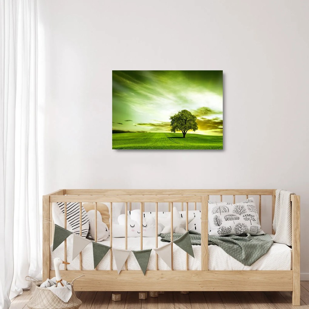 Sklenený obraz - Strom života (70x50 cm)