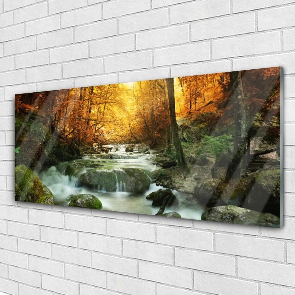 Obraz plexi Vodopád príroda les jeseň 125x50 cm