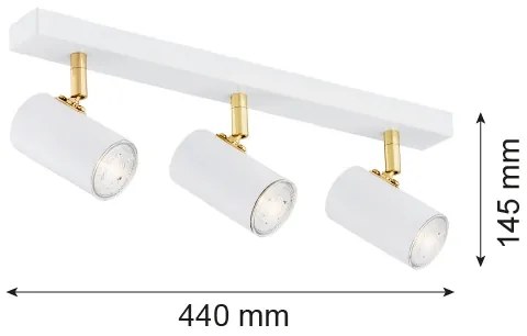 Argon 1475 - Bodové svietidlo LAGOS 3xGU10/5W/230V biela/zlatá