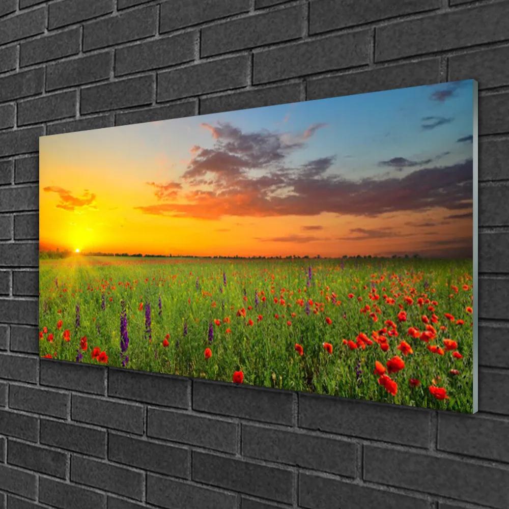 Skleneny obraz Slnko lúka kvety príroda 100x50 cm