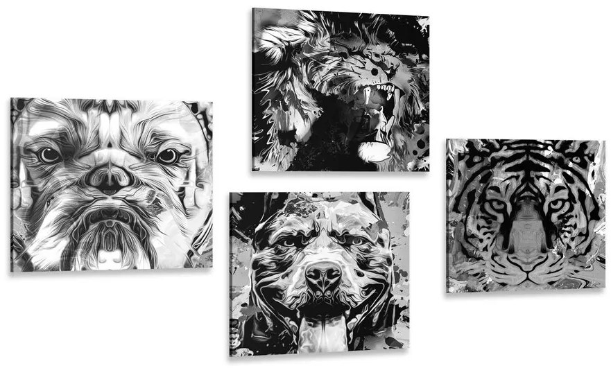 Set obrazov zvieratá v čiernobielom prevedení pop art štýlu Varianta: 4x 40x40